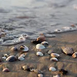 Seaside Comfort Flat With Modern Amenities Appartamento *